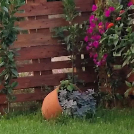 Apartment διαμέρισμα ιδανικό για εξορμήσεις